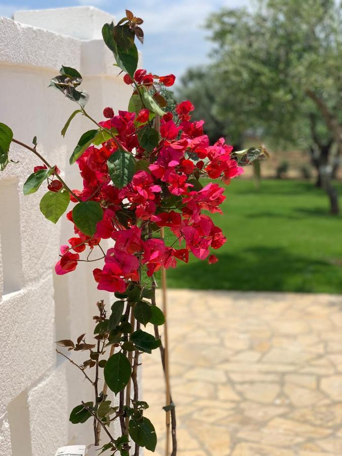 L'Ulivo Bed And Breakfast Savelletri ภายนอก รูปภาพ