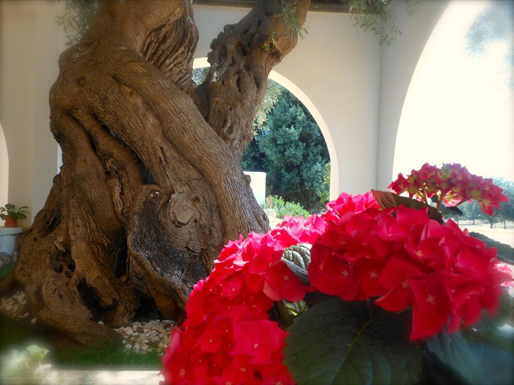 L'Ulivo Bed And Breakfast Savelletri ภายนอก รูปภาพ