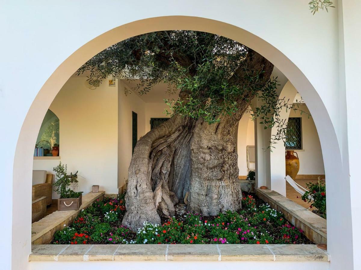 L'Ulivo Bed And Breakfast Savelletri ภายนอก รูปภาพ